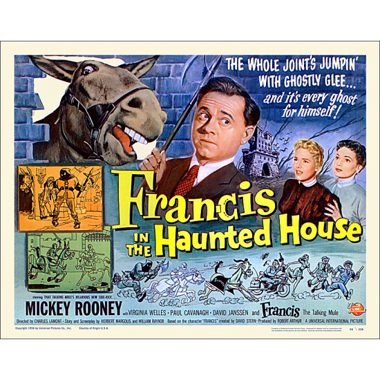 HS167 / Francis in the...